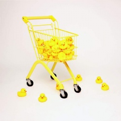 Shopping cart-Toy