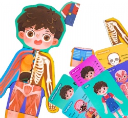 RAINBOW TOYFROG スナップアンドツイストビルディングブロック - 270ピースセット 柔軟な連結式数学操作 - オープンエンドSTEMおもちゃ 5歳から12歳 並行輸入品 RAINBOW TOYFROG Building Blocks Toys for Toddlers\u2013Educational Development  STEM Toys\u2013Safe Skill Building Toys for Boys\u0026Girls \u2013 Set of 74pcs with